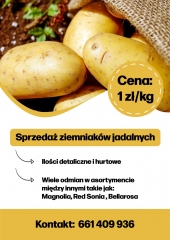 Sprzedaż ziemniaków jadalnych - plakat